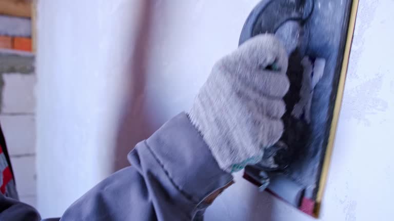 Best Black Mold Removal  in Albany, MN