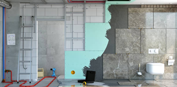 Reliable Albany, MN Mold Removal Solutions