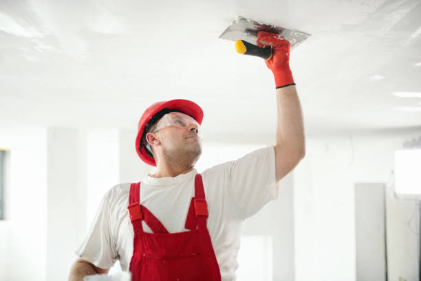Best Post-Remediation Verification Testing  in Albany, MN