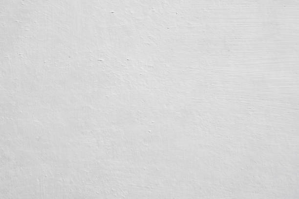 Best Mold Prevention Services  in Albany, MN
