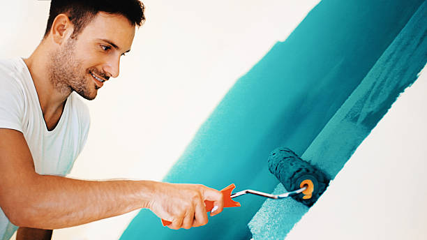 Best Mold Removal for HVAC Installations  in Albany, MN