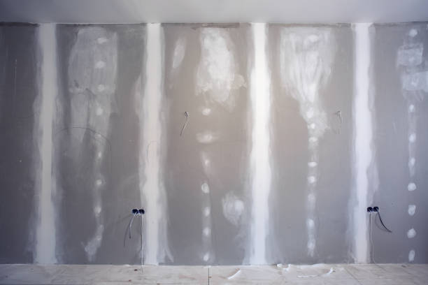 Best Real Estate Mold Inspection  in Albany, MN